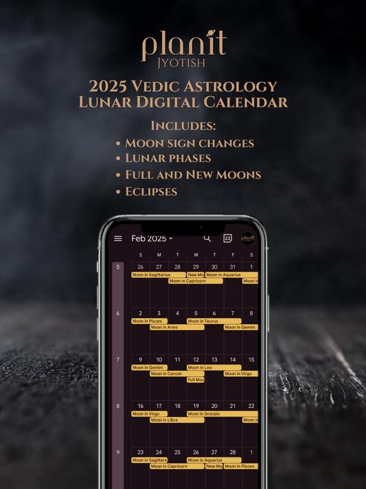 2025 Lunar Digital Calendar